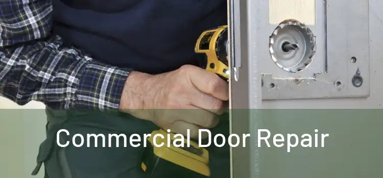 Commercial Door Repair
