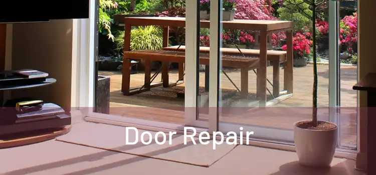  Door Repair 