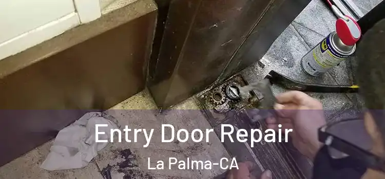  Entry Door Repair La Palma-CA