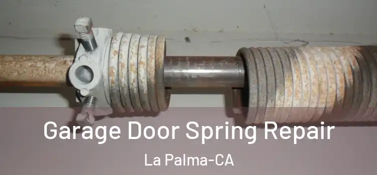 Garage Door Spring Repair La Palma-CA
