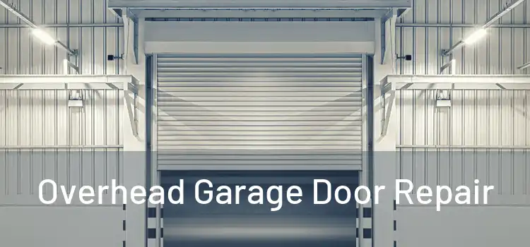  Overhead Garage Door Repair 