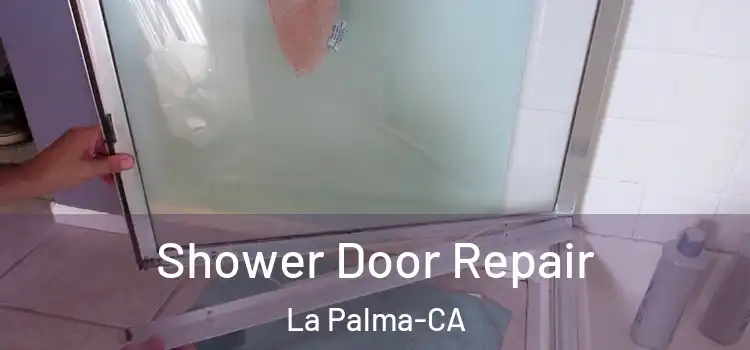  Shower Door Repair La Palma-CA