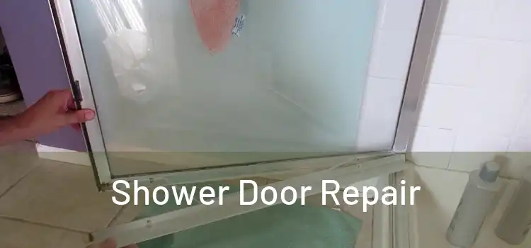 Shower Door Repair